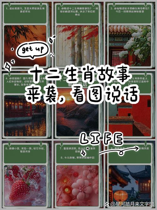 今期生肖不说二正确动物:今期生肖讲故事是什么动物