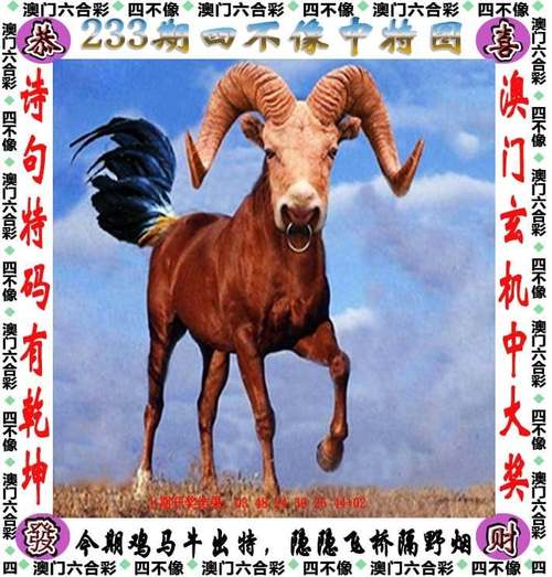 免费资料正版资料大全:2025年正版资料免费大全