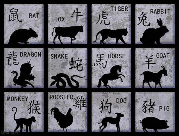 二开四七九对二生肖:二四开得三七九猜一肖