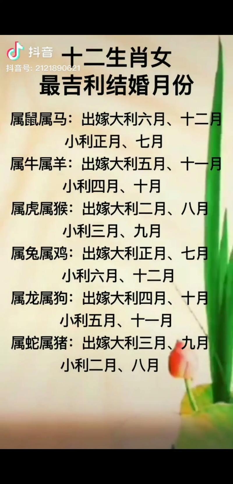 三六今期代表什么生肖:三六今期出头来什么生肖
