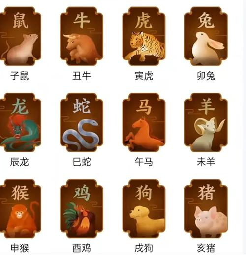 “教育”打一准确动物生肖的简单介绍