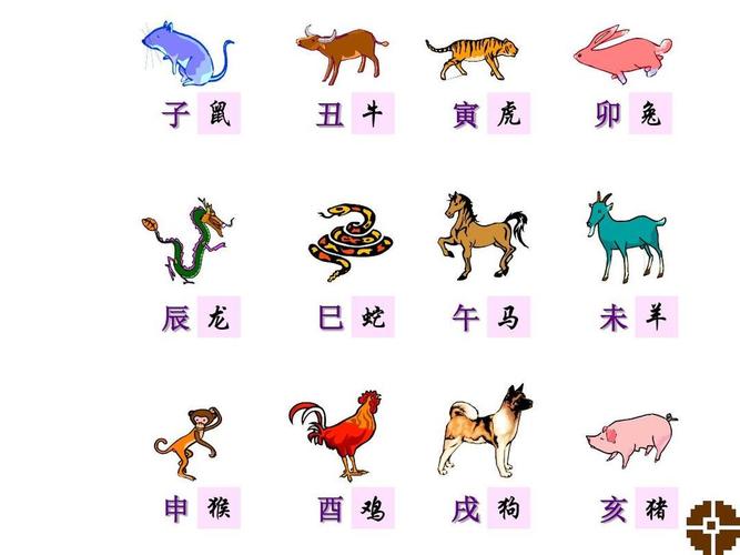 有钱人是什么生肖:有钱人是什么生肖动物