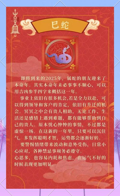2025什么生肖年:202512生肖排行顺序