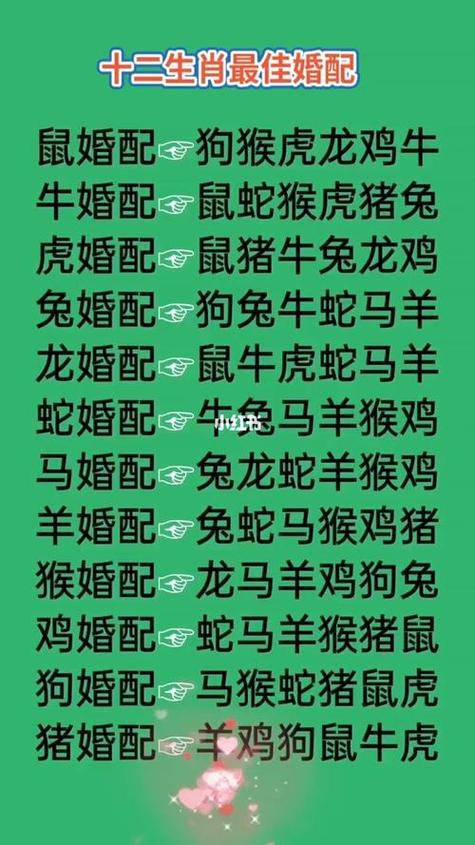 “牧马之犬蛇兔伴”指什么生肖:犬马回头看,牛蛇定胜天什么生肖