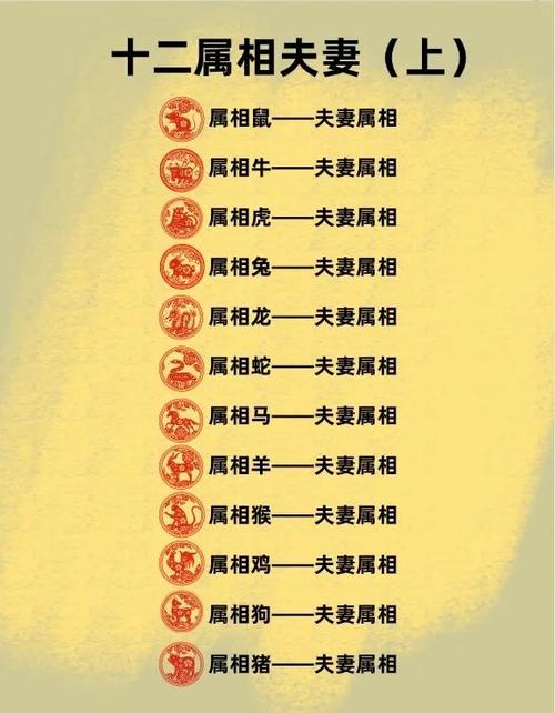 什么生肖配对最佳:什么生肖配对最佳夫妻