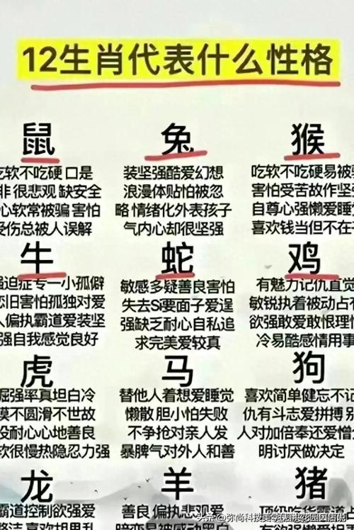 什字打一生肖:什代表什么生肖
