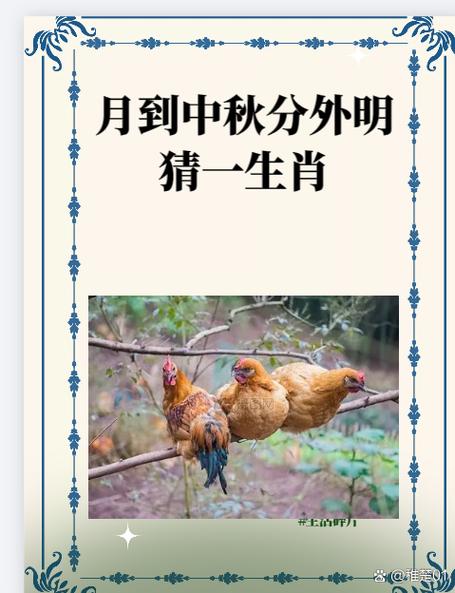 玄机在上:玄机在上面正确答案生肖