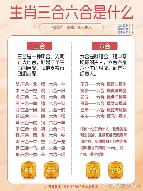今期生肖六合开打一生肖:今期生肖来六成指什么生肖