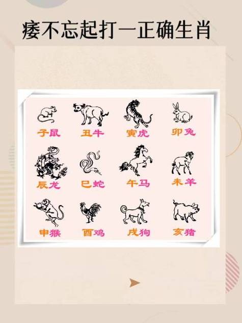 今期生肖在一头打正确生肖:今期生肖在一头打正确生肖是什么