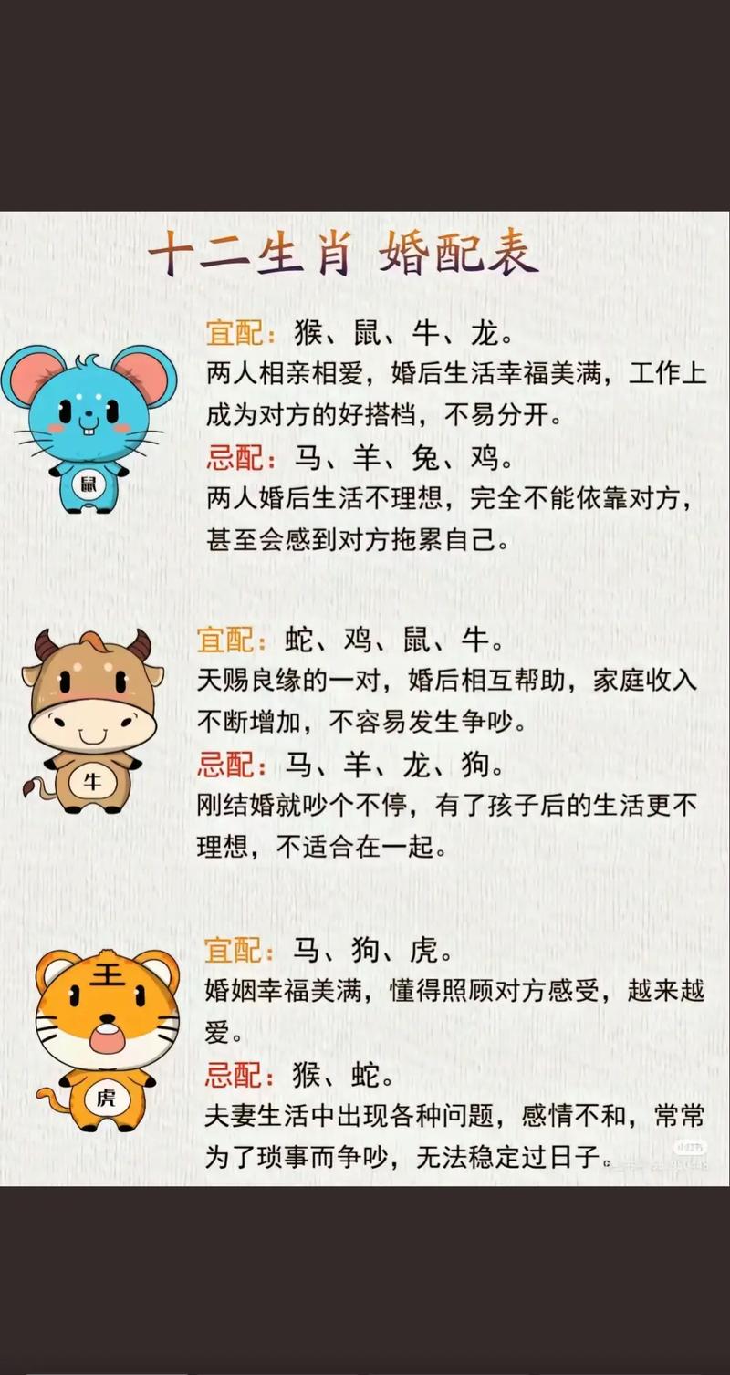 什么生肖最完美:什么生肖完美到没有一点缺点