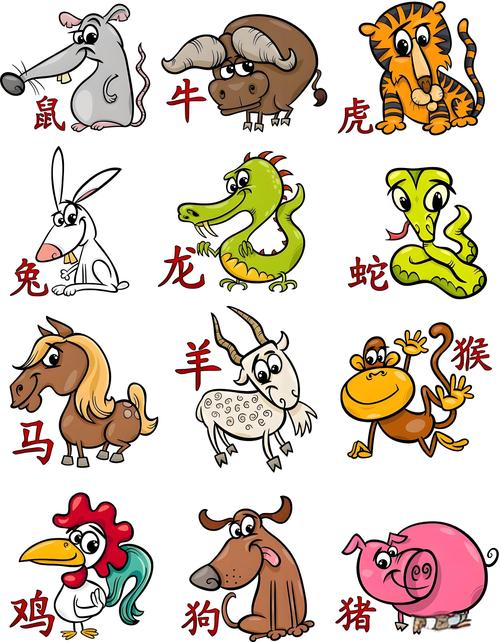 什么生肖的人最聪明女生:什么生肖的人最聪明女生呢