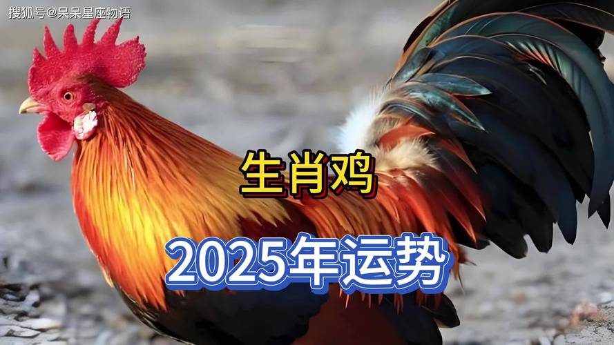 今期生肖是好人:今期生肖好人家,三五成群鸡狗来打一正确生肖