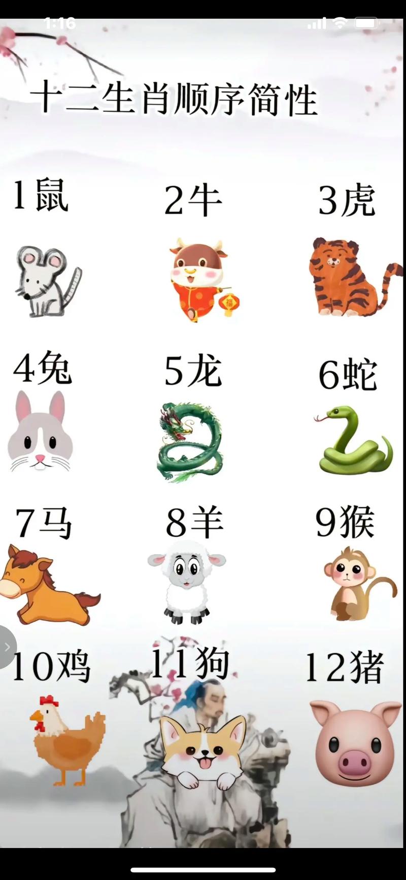 今期生肖出在水:今期生肖出在水,三一门前灯光照
