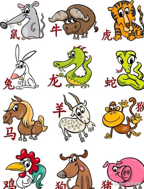 今期生肖力千钧的生肖:今期生肖力千钧是什么动物