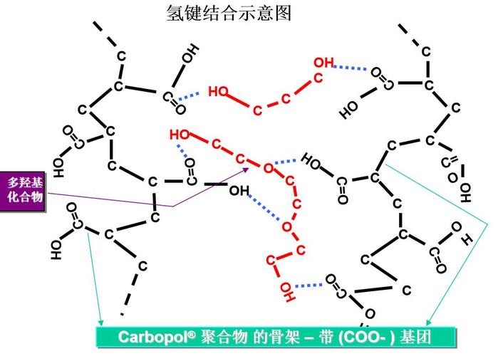卡波姆的类型及作用:卡波姆的类型及作用图片