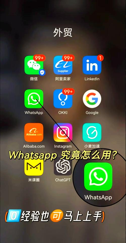 whatsapp安卓加好友教程:手机版whatsapp怎么加好友