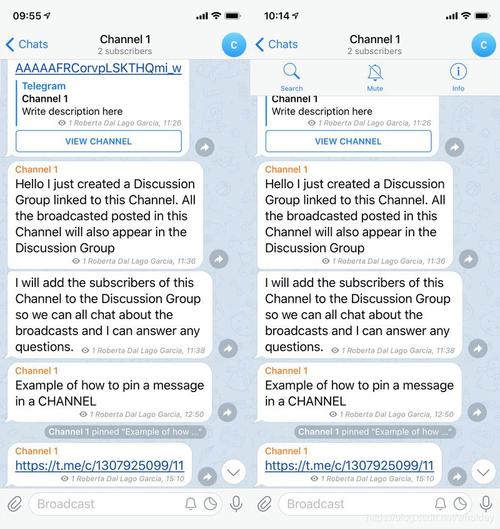 telegraph搜索频道:telegeram电报资源群最新