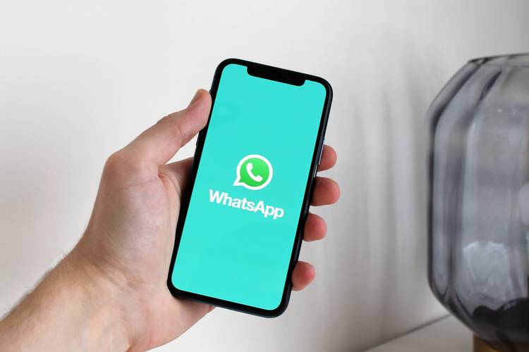 whatsapp网页登陆:whatsapp手机网页版登录