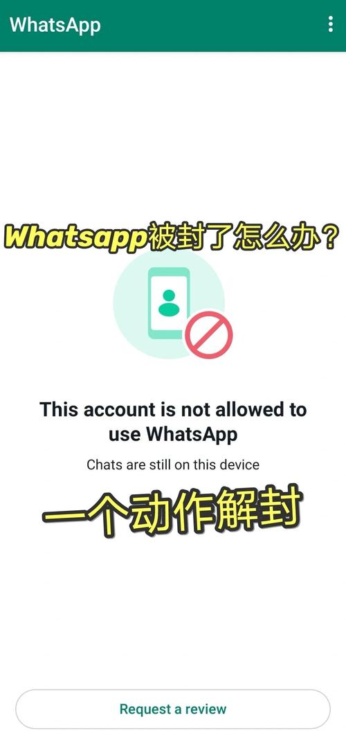 whatsapp被禁止怎么解除:whatsapp被对方封锁了还能发送信息吗