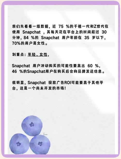 snapchat注册:snapchat注册错误代码c14a