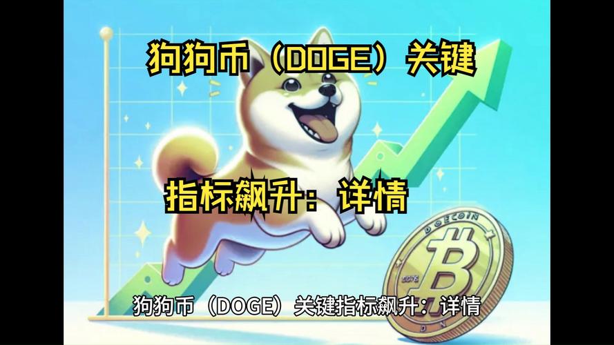 狗狗币钱包官网:狗狗币钱包 app