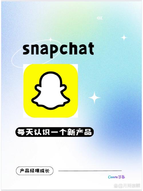 snapchat网址填什么:stripchat网页版入口