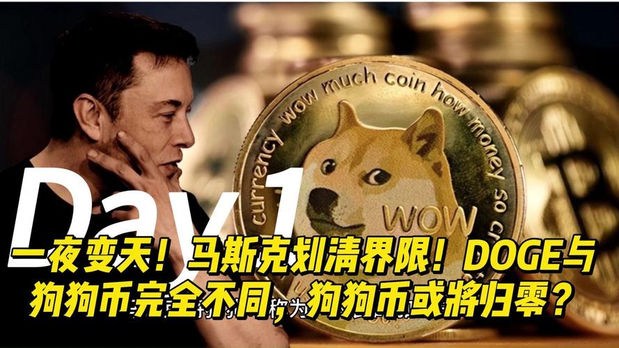 狗狗币马斯克:狗狗币马斯克赚了多少