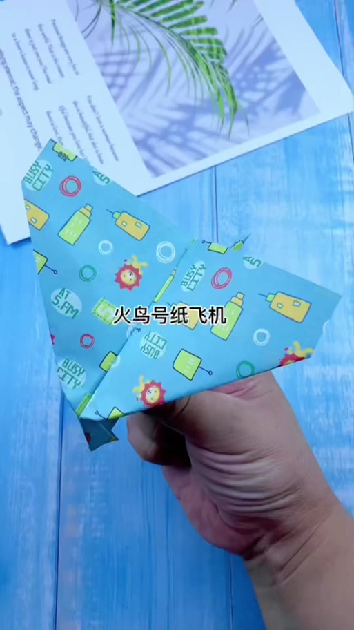 怎么买纸飞机账号:纸飞机账号是什么意思