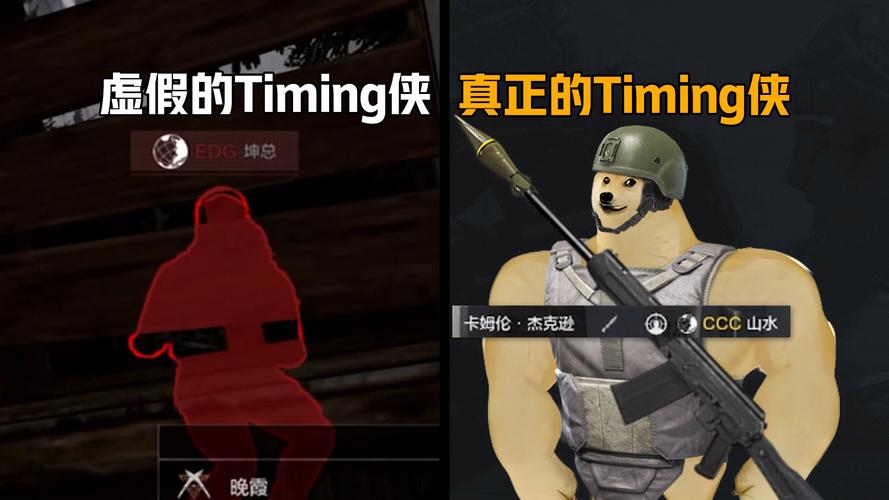 什么是timing侠:timing侠公会怎么样