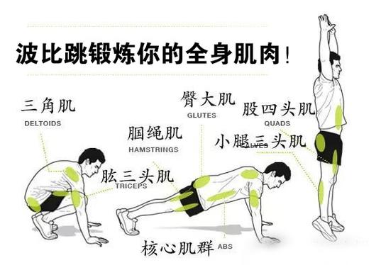 波比运动是什么:波比运动可以减肚子吗