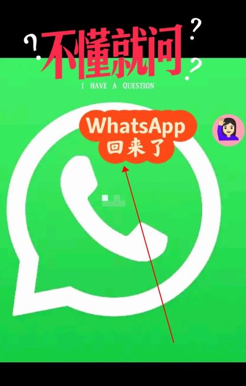 whatsapp软件下载官网:whatsappappdownloadapk