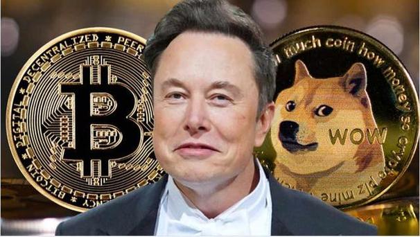马斯克预言2026狗狗币:马斯克预言2026狗狗币是真的吗