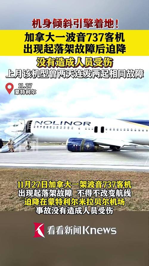 关于又一波音飞机与鸟相撞后迫降的信息