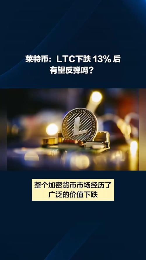 莱特币一天能挣多少钱:莱特币一天能挣多少钱啊