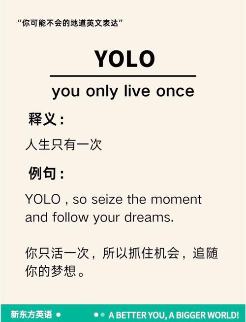 yalo怎么读:微信名yolo是什么意思
