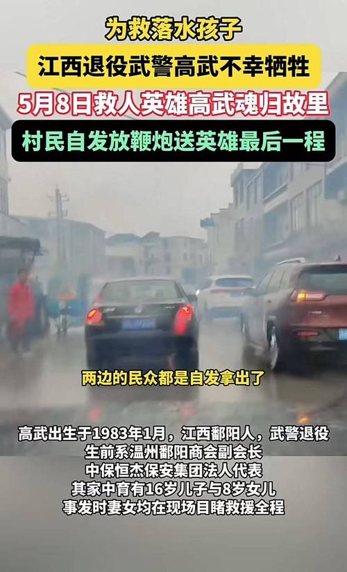 英雄高武双胞胎哥哥一夜白头的简单介绍