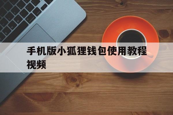 手机版小狐狸钱包使用教程视频,小狐狸钱包手机版怎么设置中文版