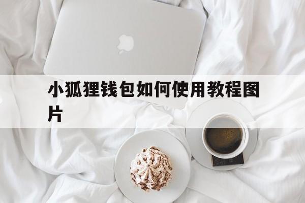 小狐狸钱包如何使用教程图片,小狐狸钱包如何使用教程图片和视频