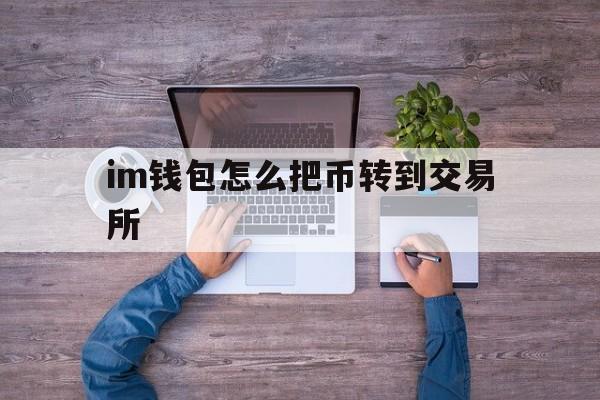 im钱包怎么把币转到交易所,im钱包怎么用uniswap交易所教程