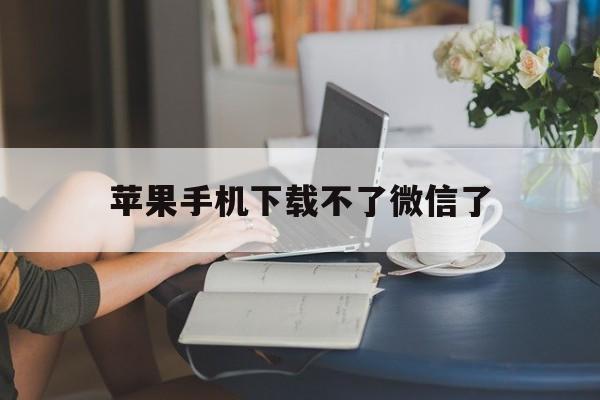苹果手机下载不了微信了,苹果手机下载不了微信是什么原因