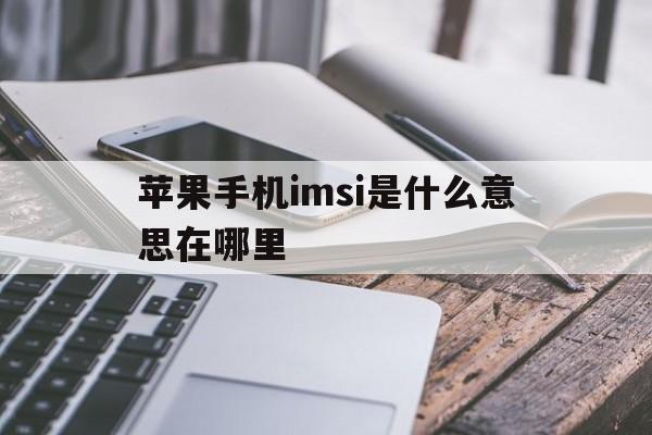 苹果手机imsi是什么意思在哪里,imei imsi是什么意思在哪里