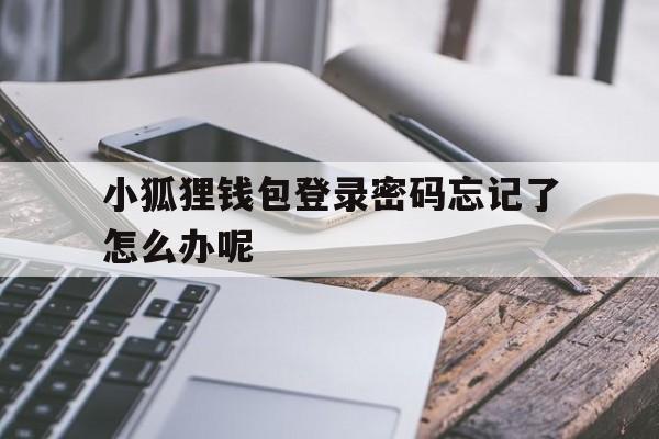 小狐狸钱包登录密码忘记了怎么办呢,小狐狸钱包登录密码忘记了怎么办呢安全吗