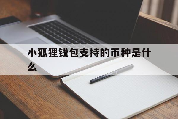 小狐狸钱包支持的币种是什么,小狐狸钱包支持的币种是什么意思