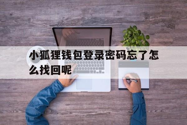 小狐狸钱包登录密码忘了怎么找回呢,小狐狸钱包登录密码忘了怎么找回呢视频