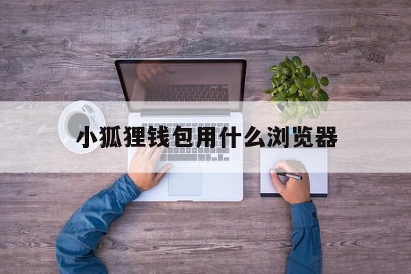 小狐狸钱包用什么浏览器,小狐狸钱包用什么浏览器好