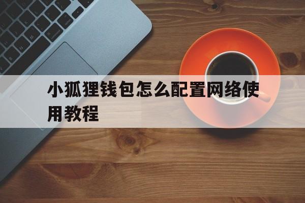 小狐狸钱包怎么配置网络使用教程,小狐狸钱包怎么配置网络使用教程视频