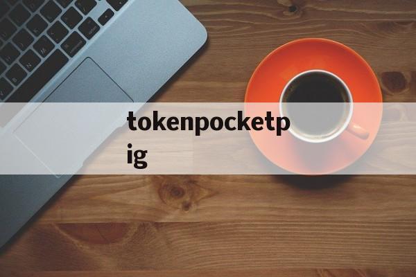 tokenpocketpig,besidethepoint翻译