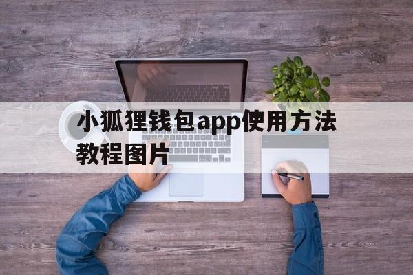 小狐狸钱包app使用方法教程图片,小狐狸钱包app使用方法教程图片大全