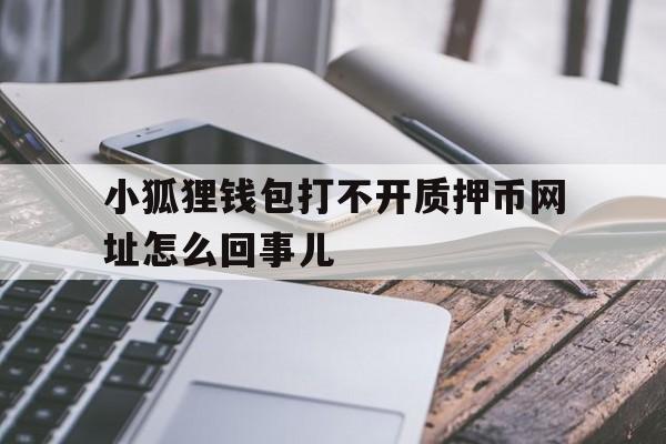 关于小狐狸钱包打不开质押币网址怎么回事儿的信息