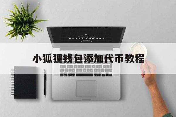 小狐狸钱包添加代币教程,小狐狸钱包怎么添加usdt